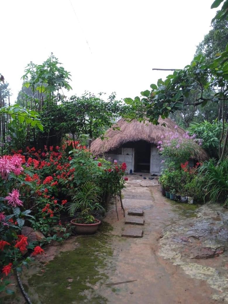 Meikha Homestay Pynursla Exterior foto